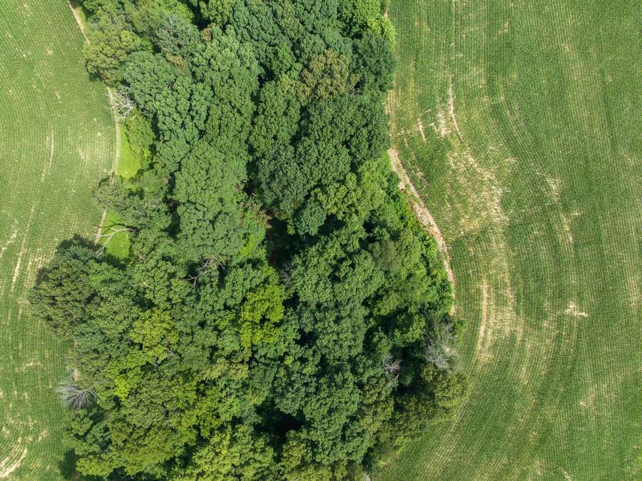 DJI_095998db.jpg