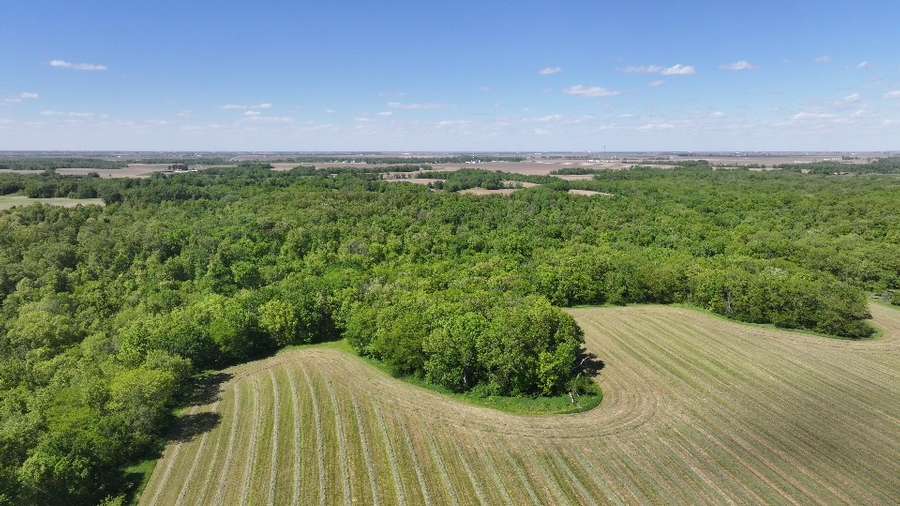 DJI_20260513153921_0029_D_M3PRO.jpg