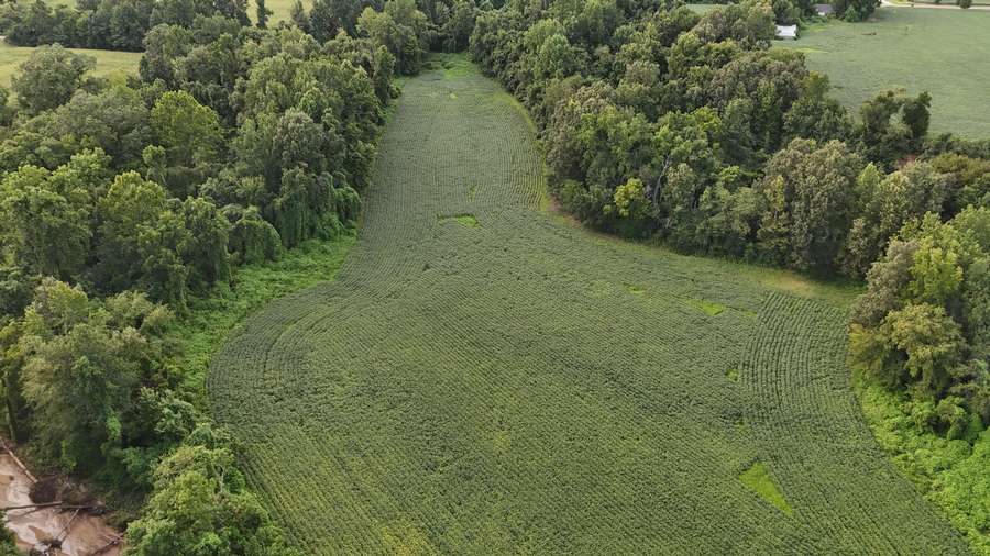 DJI_20260728191135_0049_D346f.jpg