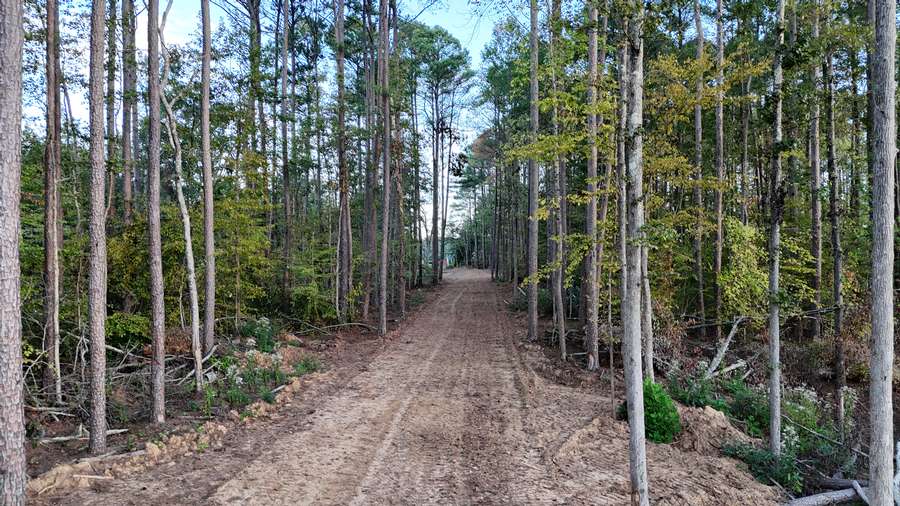 DJI_20260928072047_0089_Ddb5e.jpg