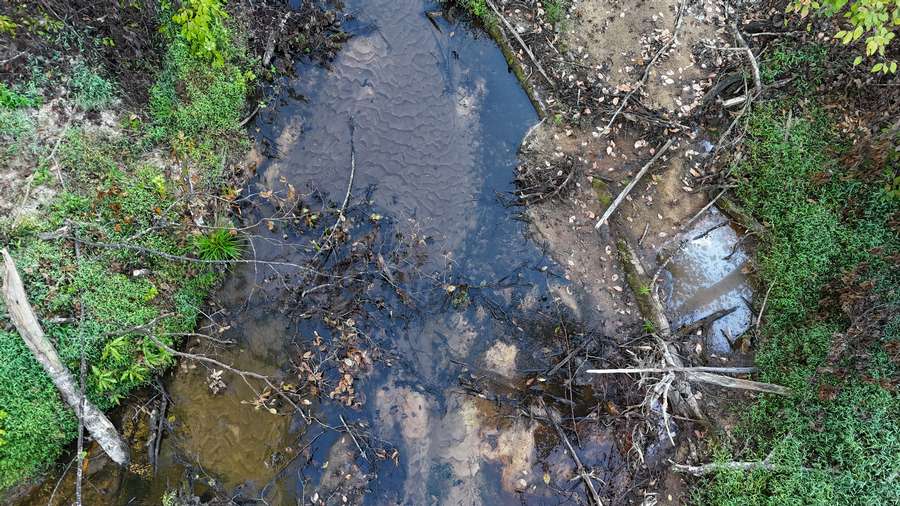 DJI_20260928074243_0122_Dd566.jpg