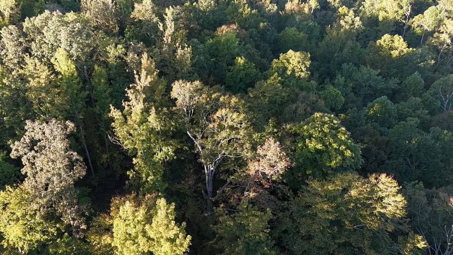 DJI_20260928074317_0123_Da3fa.jpg