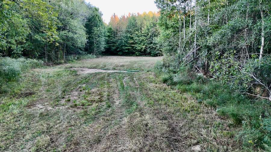 DJI_20260928182541_0145_D3270.jpg