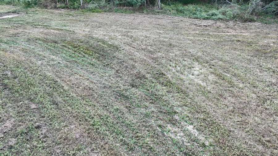DJI_20260928182603_0147_Da1cb.jpg