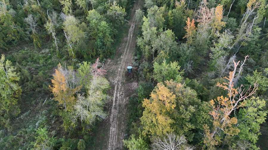 DJI_20260928184301_0163_D176c.jpg
