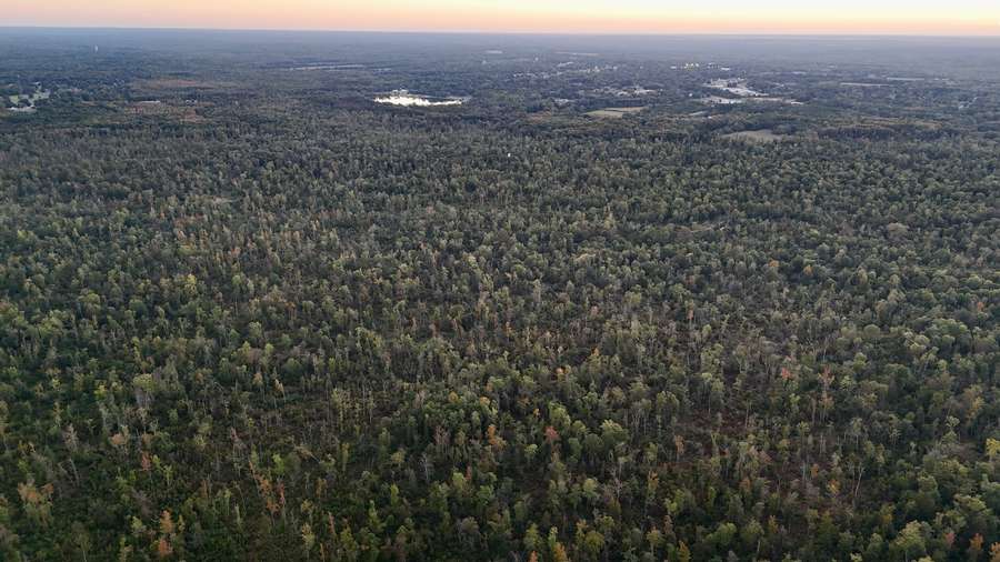 DJI_20260928185433_0181_D3a1f.jpg