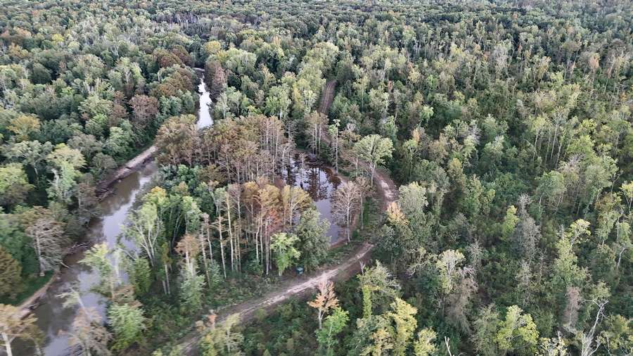 DJI_20260928185513_0182_D1cfe.jpg