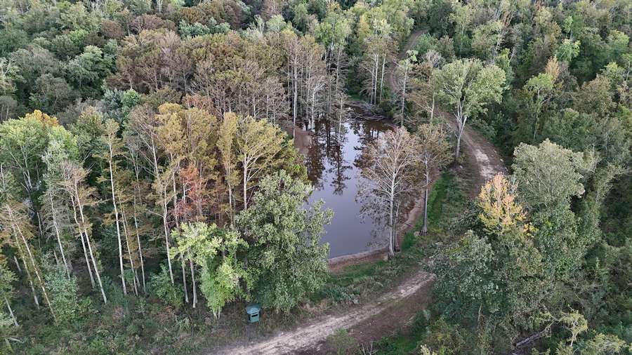 DJI_20260928185525_0184_De681.jpg