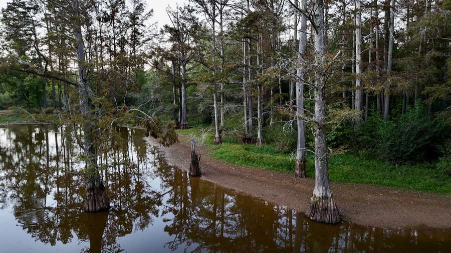 DJI_20260928185559_0186_D5e35.jpg