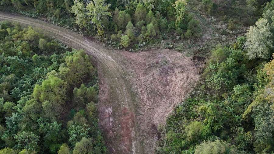DJI_20260928185808_0190_D6e4c.jpg