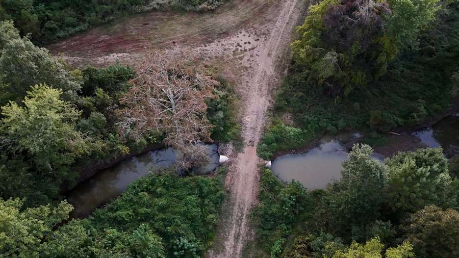 DJI_20260928190051_0194_D35b4.jpg