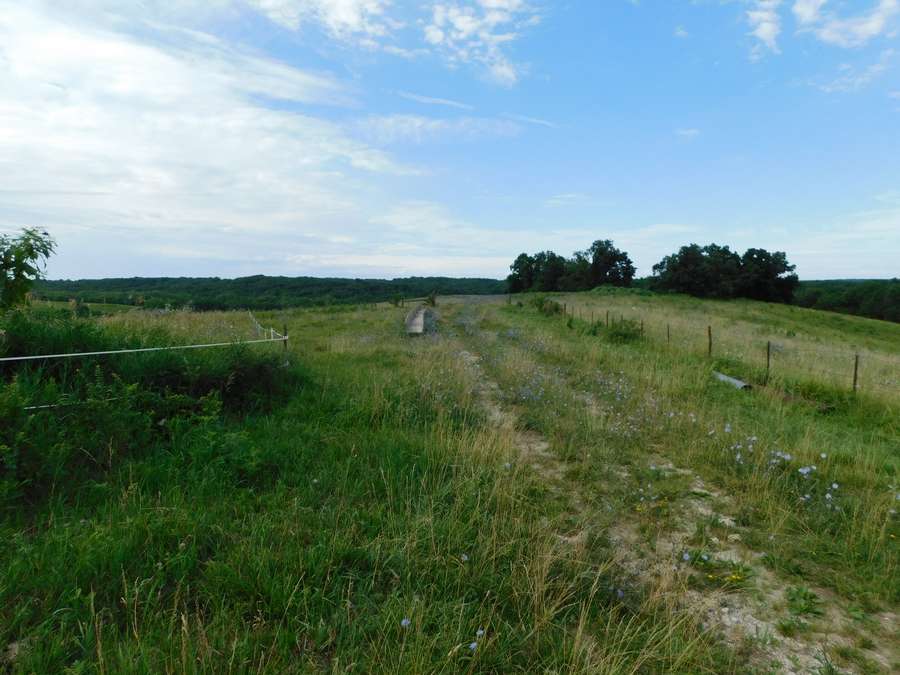 DSCN068816f1.jpg