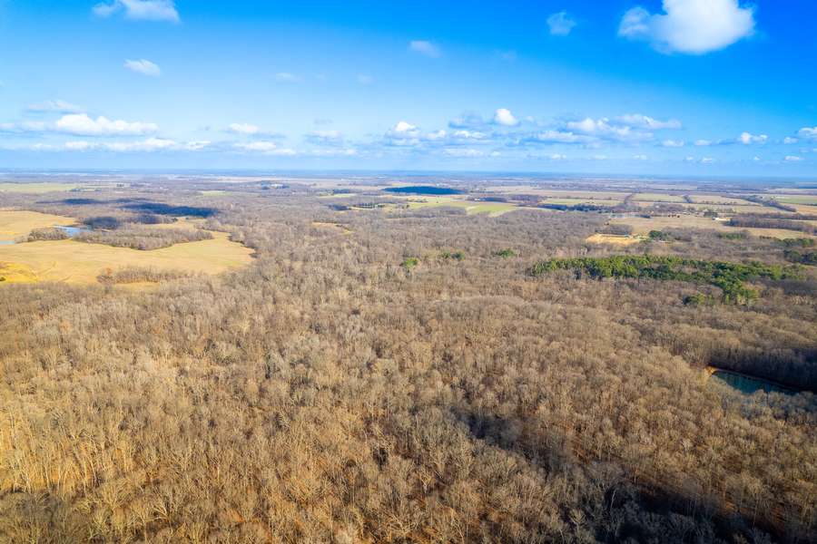 FOXTAIL LN, TAMAROA | PERRY COUNTY IL 60 - SALE PENDING