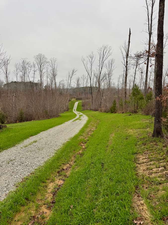 7900 BROOKSIE THOMPSON RD., BATH SPRINGS | DECATUR COUNTY TN 57.2 - AVAILABLE