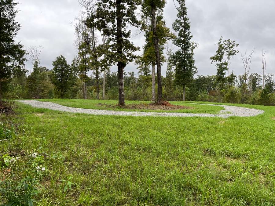 7900 BROOKSIE THOMPSON RD., BATH SPRINGS | DECATUR COUNTY TN 6.25 - AVAILABLE