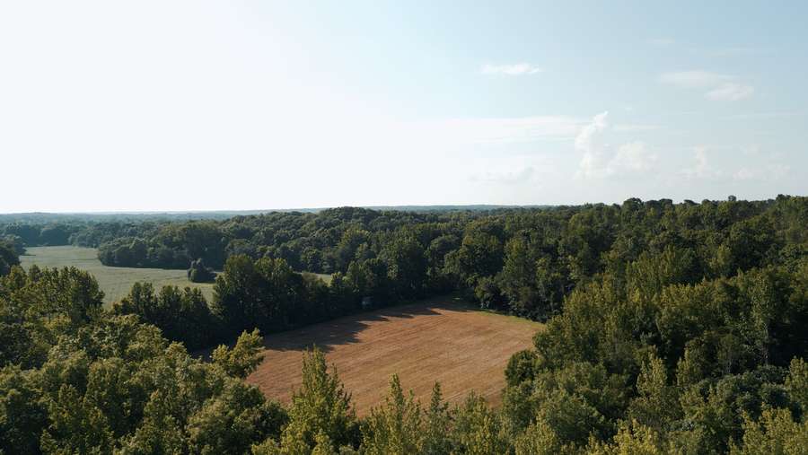0 WOODS CEMETERY RD., HICKORY VALLEY | HARDEMAN COUNTY TN 95.28 (TRACT 3) - AVAILABLE