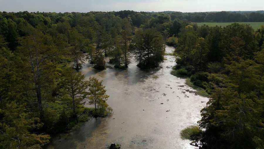 201 OLD ST. ROUTE 104, TRENTON | GIBSON COUNTY TN 90 - REDUCED