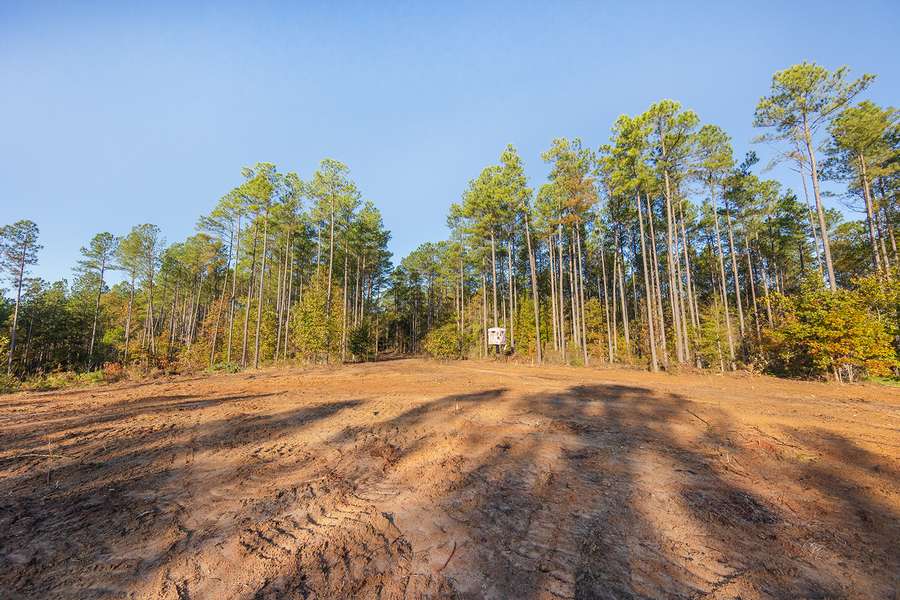 0 BURNINE RD., LEXINGTON | HENDERSON COUNTY TN 144.5 - AVAILABLE