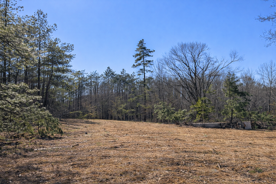 3290 BUTLER CHAPEL RD., RAMER | MCNAIRY COUNTY TN 10.42 - AVAILABLE