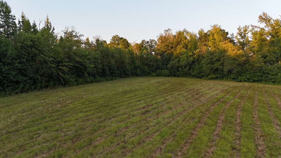 0 BEAR LAKE RD., MEDON | MADISON COUNTY TN 23 - AVAILABLE