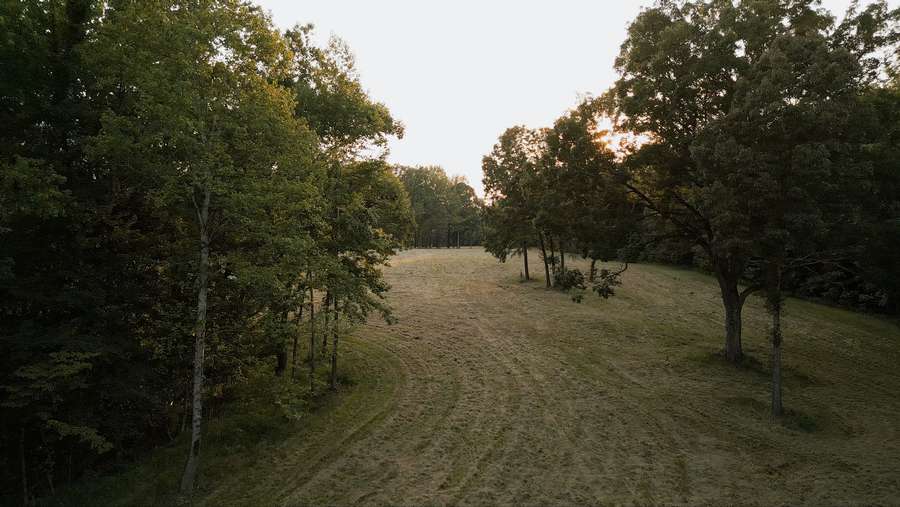 4222 OLD MEDINA RD., MEDINA | MADISON COUNTY TN 80.54 - AVAILABLE