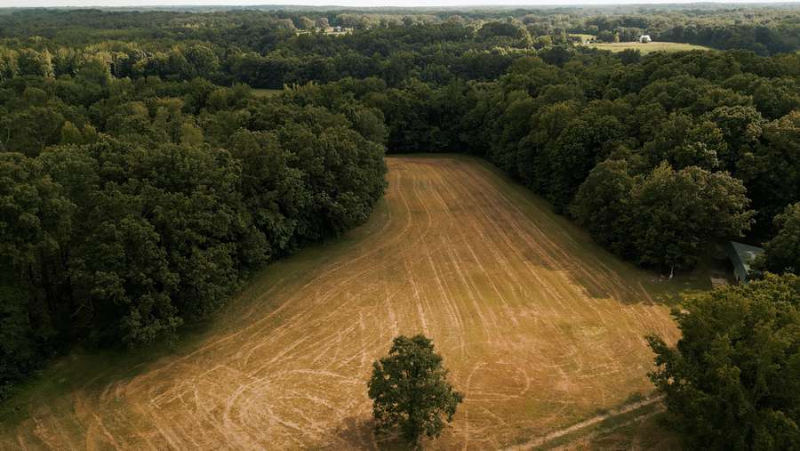 0 AMES RD., HICKORY VALLEY | HARDEMAN COUNTY TN 58.93 (TRACT 2) - AVAILABLE
