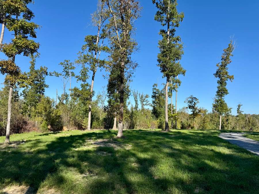 7900 BROOKSIE THOMPSON RD., BATH SPRINGS | DECATUR COUNTY TN 6.26 - AVAILABLE