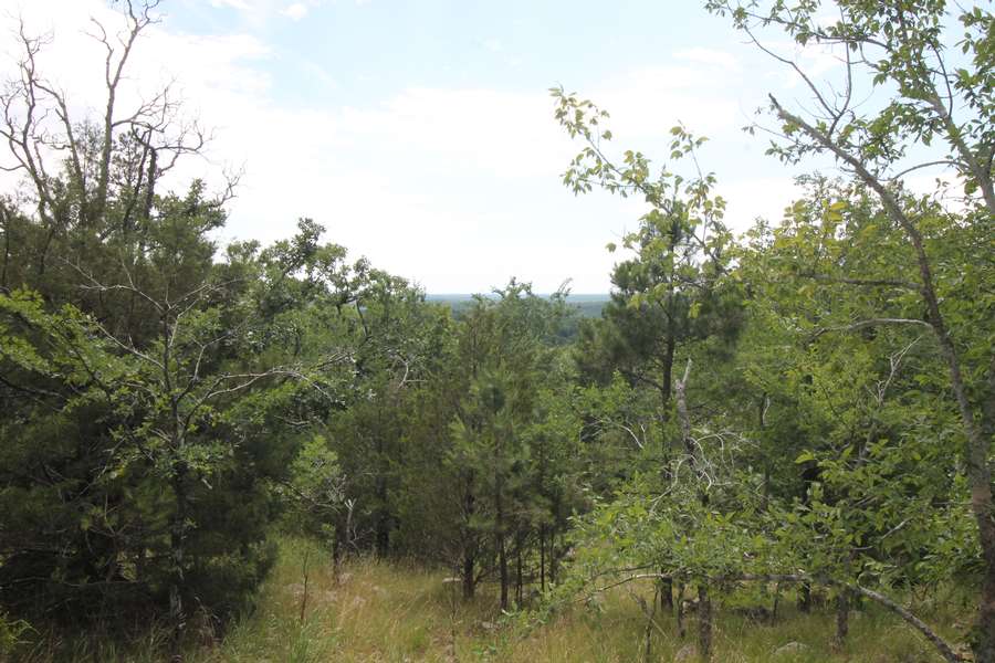3751 CRANE LAKE ROAD, ARCADIA | IRON COUNTY MO 149.72 - AVAILABLE
