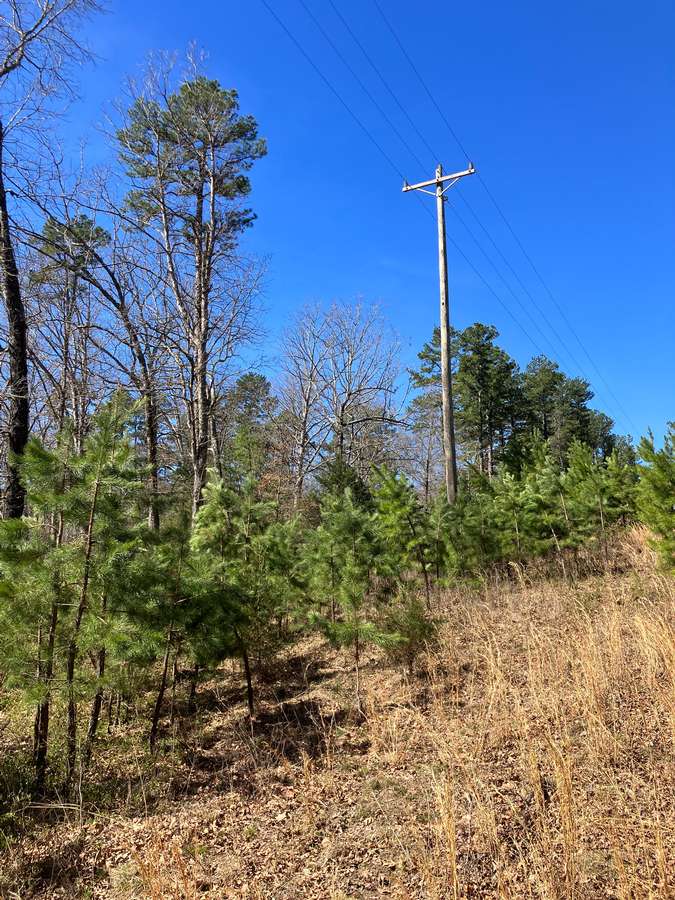 COUNTY ROAD N-349, ELLSINORE | CARTER COUNTY MO 1.79 - AVAILABLE