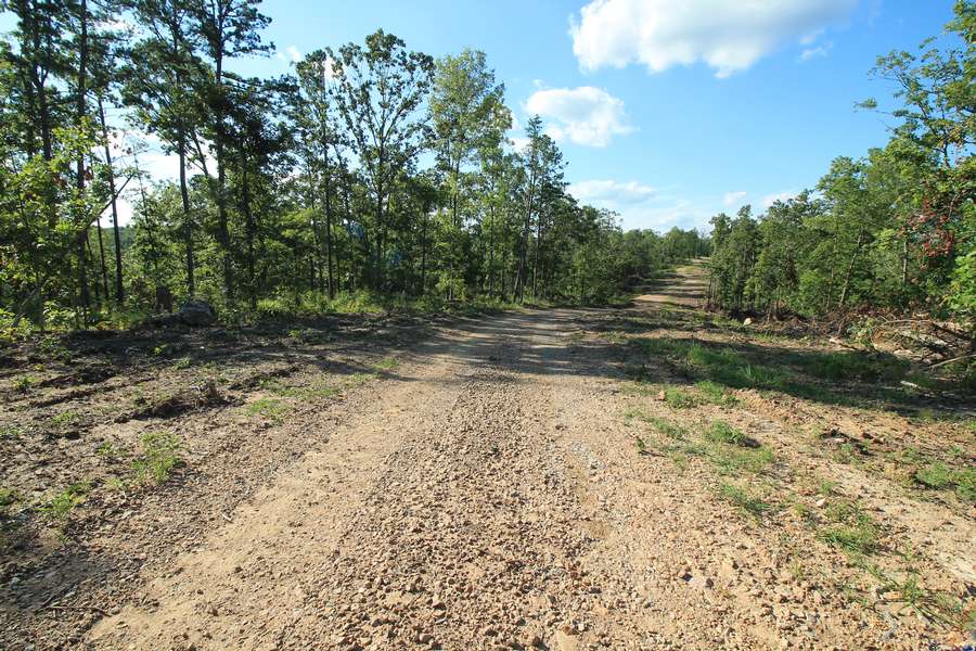 000 MADISON CR 410, FREDERICKTOWN | MADISON COUNTY MO 7.4 (TRACT #119C) - AVAILABLE