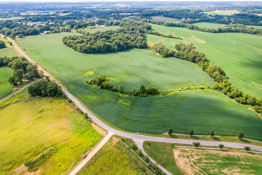000 CR316, JACKSON | CAPE GIRARDEAU COUNTY MO 29.1 (2 TRACTS) ... AUCTION - AVAILABLE