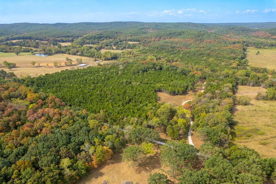 000 IRON CR 20A, BELLEVIEW | IRON COUNTY MO 75 - AVAILABLE