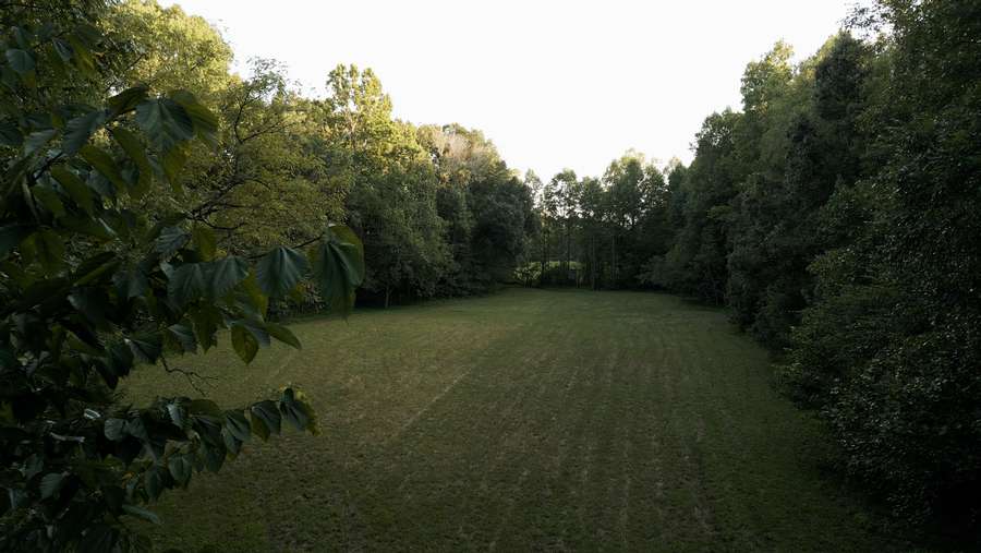 0 RIDGE RD., MEDINA | MADISON COUNTY TN 65 - AVAILABLE