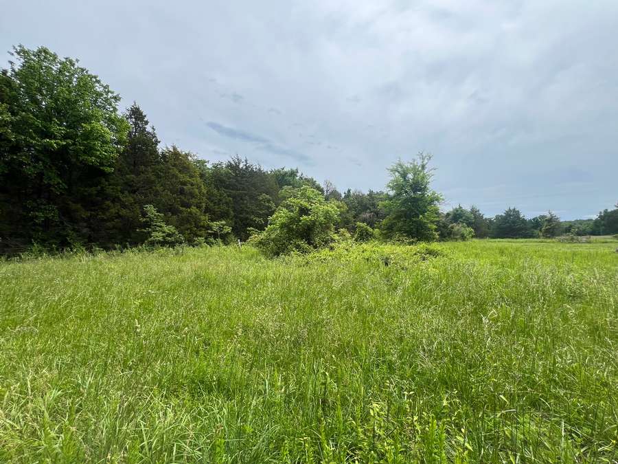 0 MADISON RD., FARMINGTON | ST. FRANCOIS COUNTY MO 21 - AVAILABLE