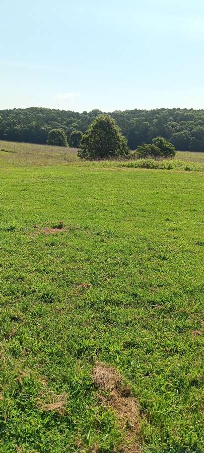 0 EDGAR RD., SALEM | CRAWFORD COUNTY MO 13 - AVAILABLE