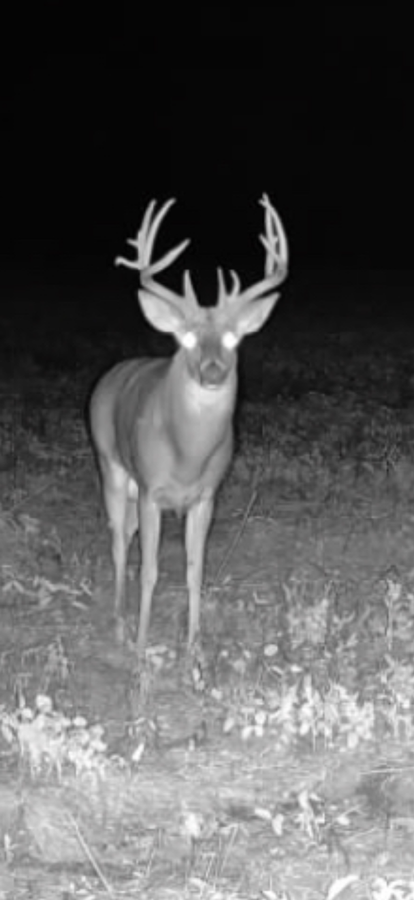 0 HUSKY TRAIL, GREEN CASTLE | SULLIVAN COUNTY MO 160 - AVAILABLE