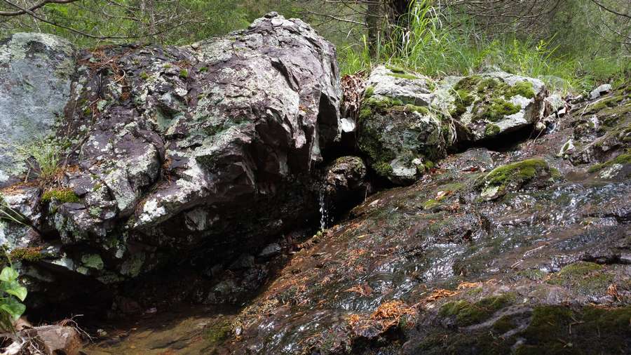 13 HIDDEN VLY LKS, ANNAPOLIS | IRON COUNTY MO 12.97 - AVAILABLE