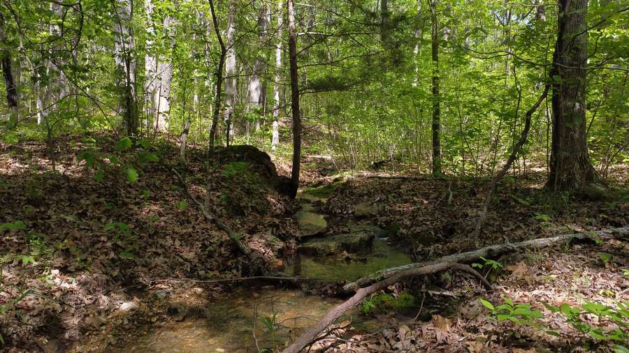 SANTEE TRAIL, POTOSI | WASHINGTON COUNTY MO 5.4 - REDUCED