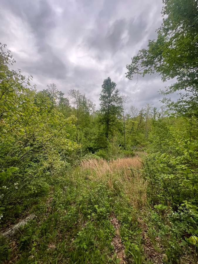 0 HIDDEN VALLEY LAKES, ANNAPOLIS | IRON COUNTY MO 3.01 - AVAILABLE