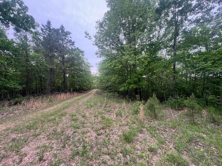 0 COUNTY ROAD 426, ELLINGTON | REYNOLDS COUNTY MO .220 - AVAILABLE